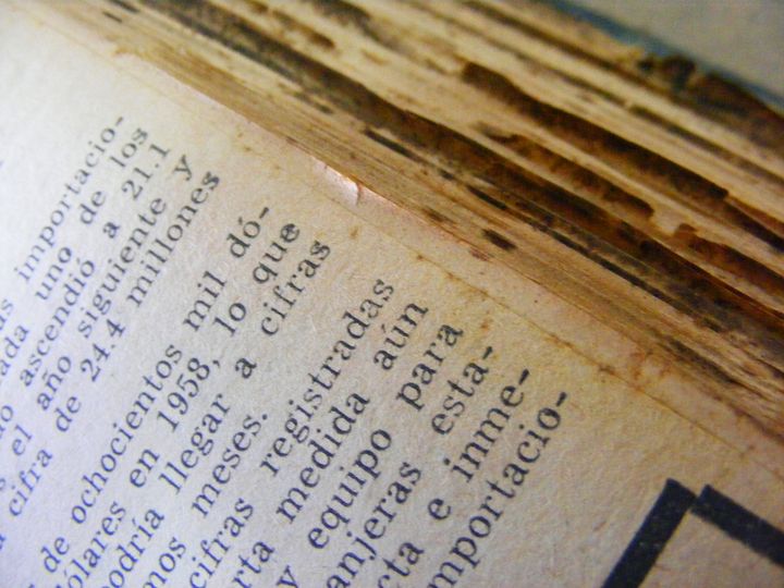 biblioteca 166 copy.jpg